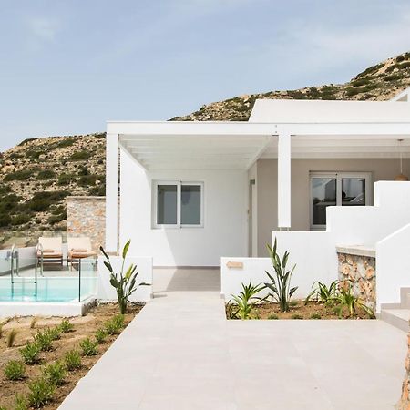 Theros Luxury Villas Damatria Zewnętrze zdjęcie