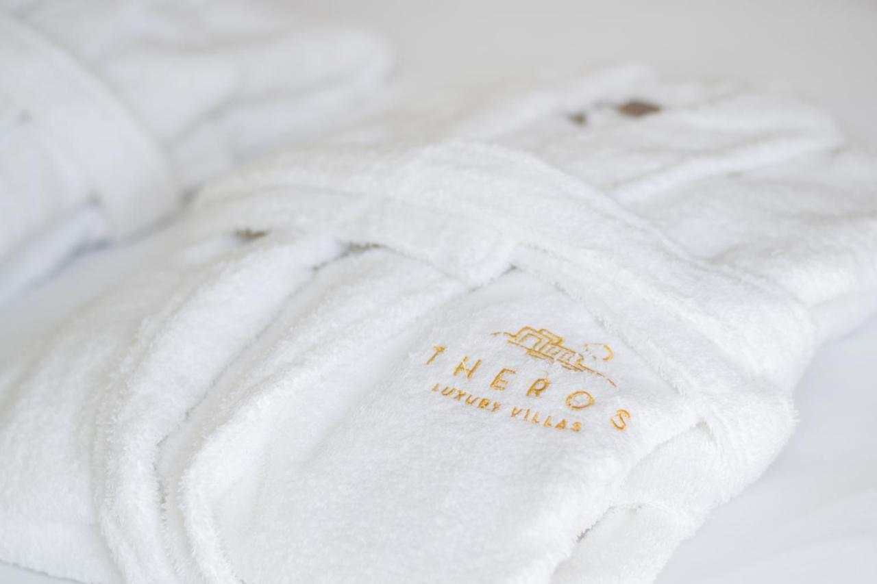 Theros Luxury Villas Damatria Zewnętrze zdjęcie